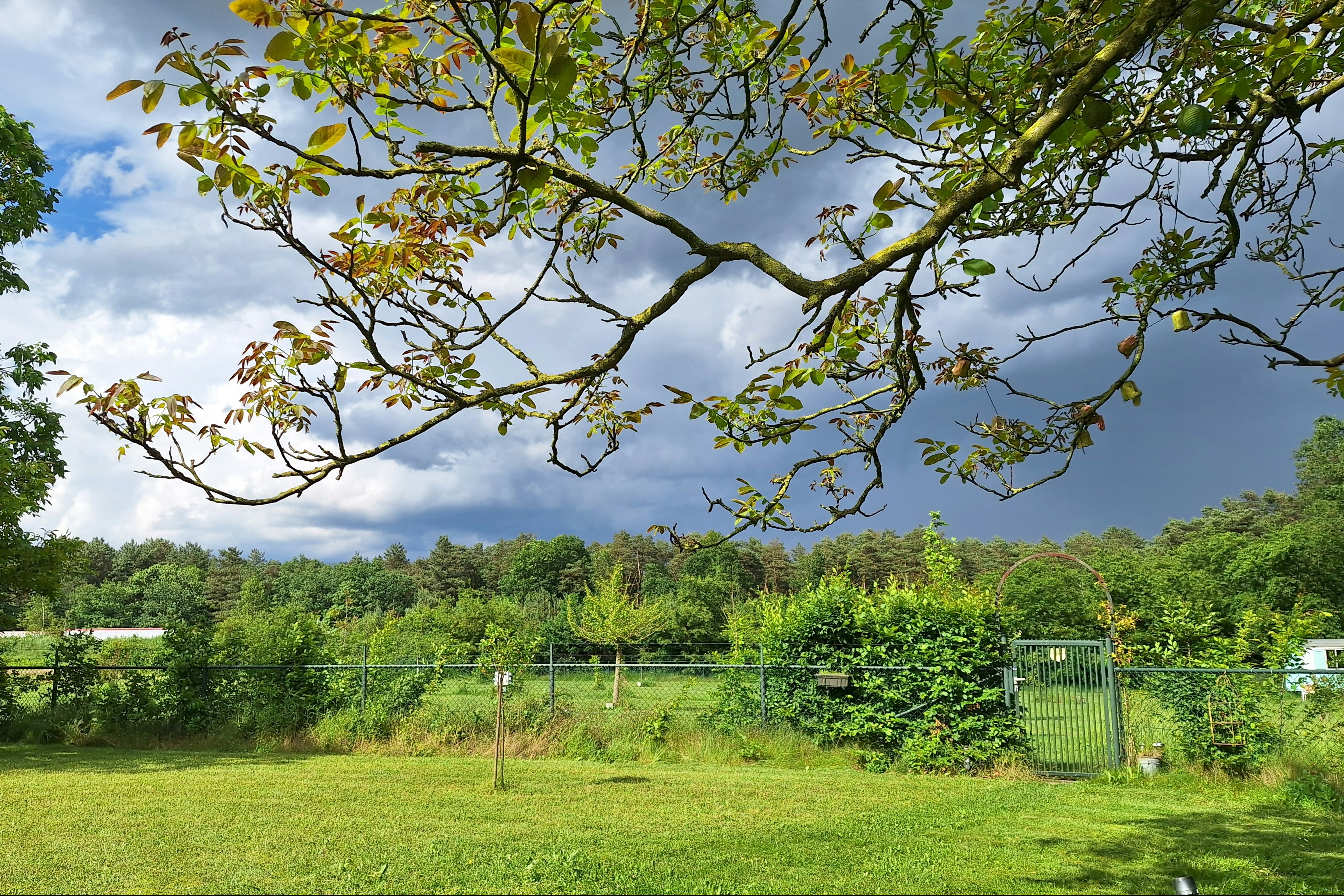 Forest Camp - Standplätze auf dem Campingplatz