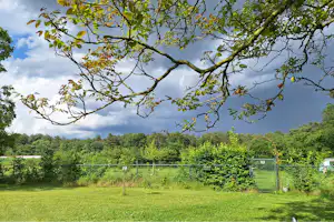 Forest Camp - Standplätze auf dem Campingplatz
