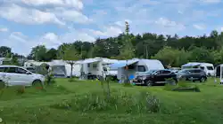 Forest Camp Okkernoot