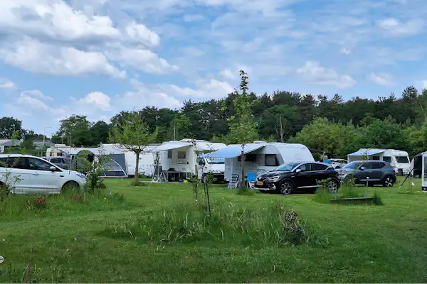 Forest Camp