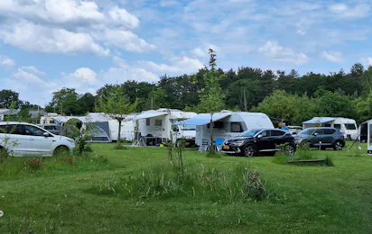 Forest Camp