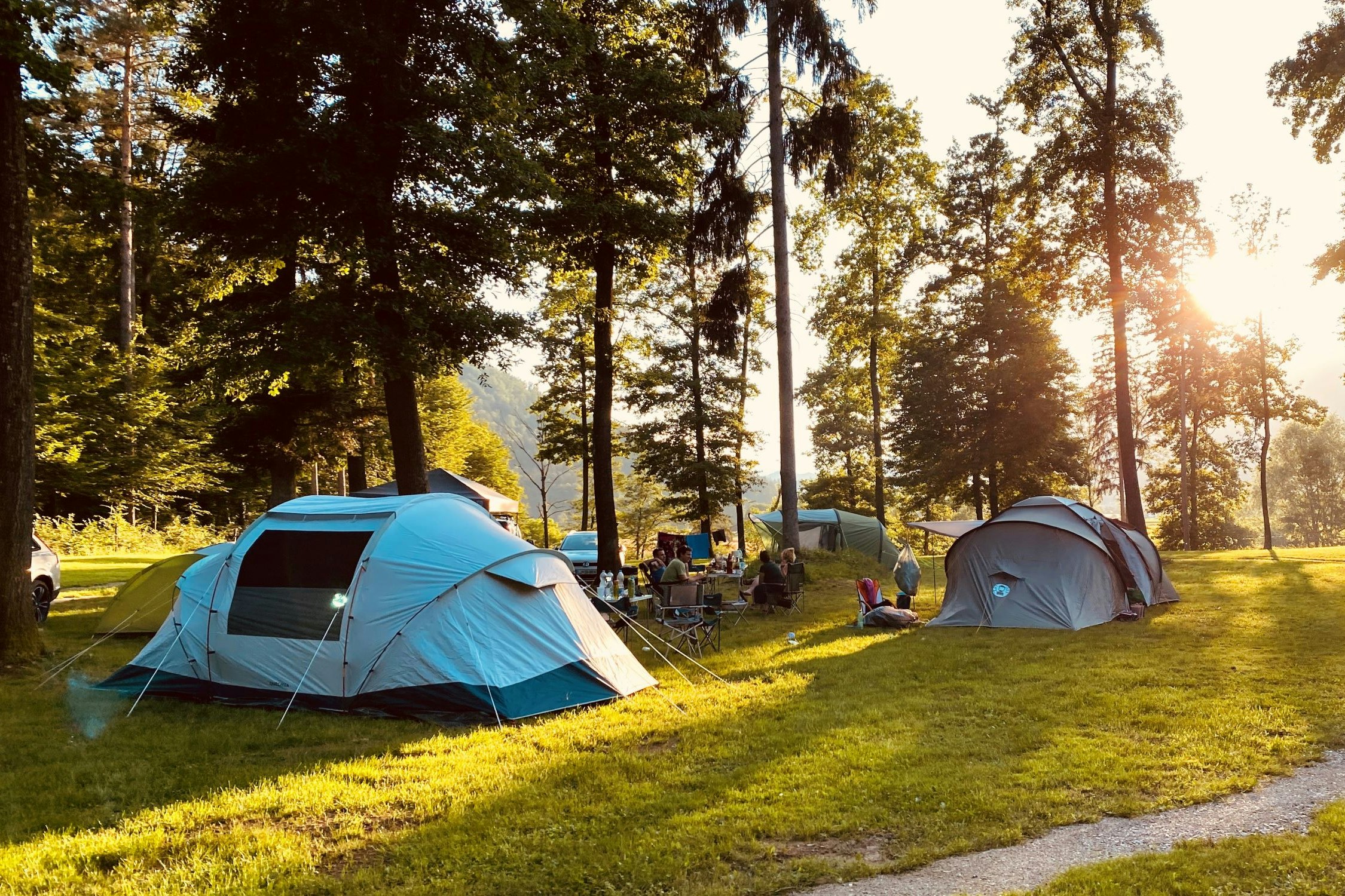 Forest Camping Mozirje - Blick auf die Zeltwiese auf dem Campingplatz