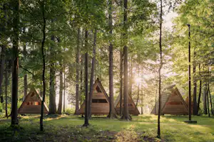 Forest Camping Mozirje - Kleine Holzhütten umgeben von Bäumen auf dem Campingplatz