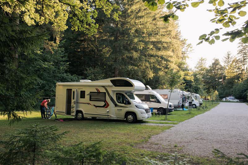 Forest Camping Mozirje - Standplätze auf dem Campingplatz