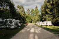 Forest Camping Mozirje - Standplätze auf dem Campingplatz