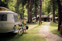 Forest Camping Mozirje - Standplätze im Wald auf dem Campingplatz