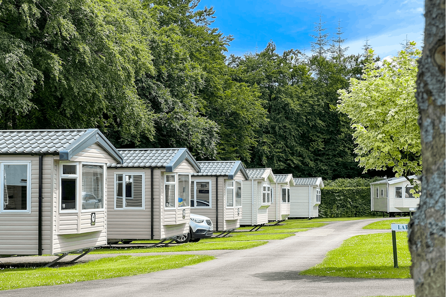 Forest Glade Holiday Park - Mietcaravans auf dem Campingplatz