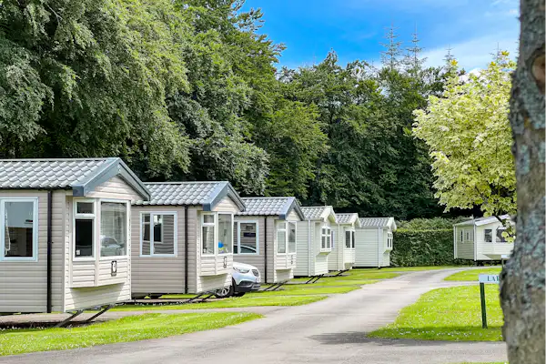 Forest Glade Holiday Park
