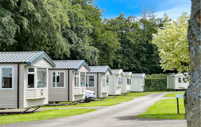 Forest Glade Holiday Park