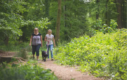 Forest Glade Holiday Park