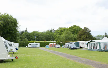 Forest Glade Holiday Park