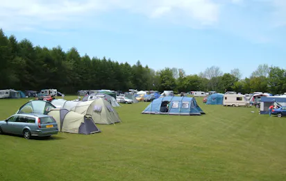 Forest Glade Holiday Park