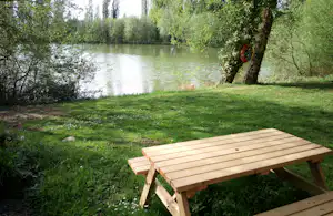 Forest View Camping
