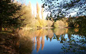 Ruhiger See mit Spiegelung im Wasser, umgeben von Bäumen und Ufervegetation im Herbstwald.
