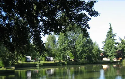 Forest View Camping