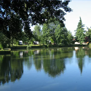Forest View Camping
