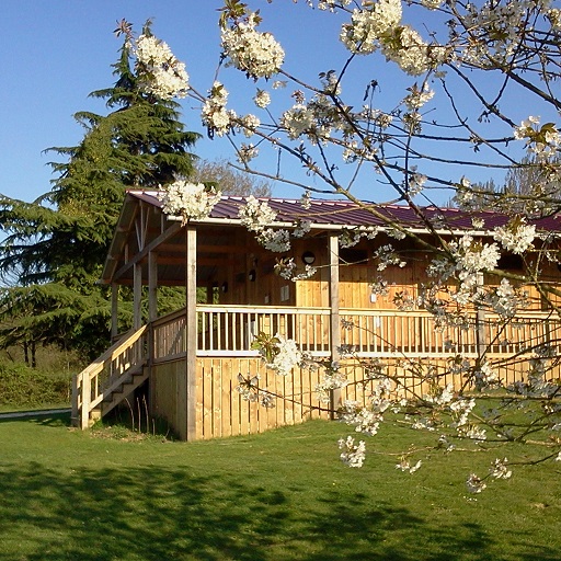 Holzhaus mit Veranda und Treppe, umgeben von Rasen und blühenden Zweigen vor blauem Himmel.