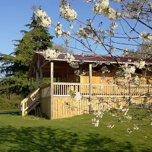 Holzhaus mit Veranda und Treppe, umgeben von Rasen und blühenden Zweigen vor blauem Himmel.