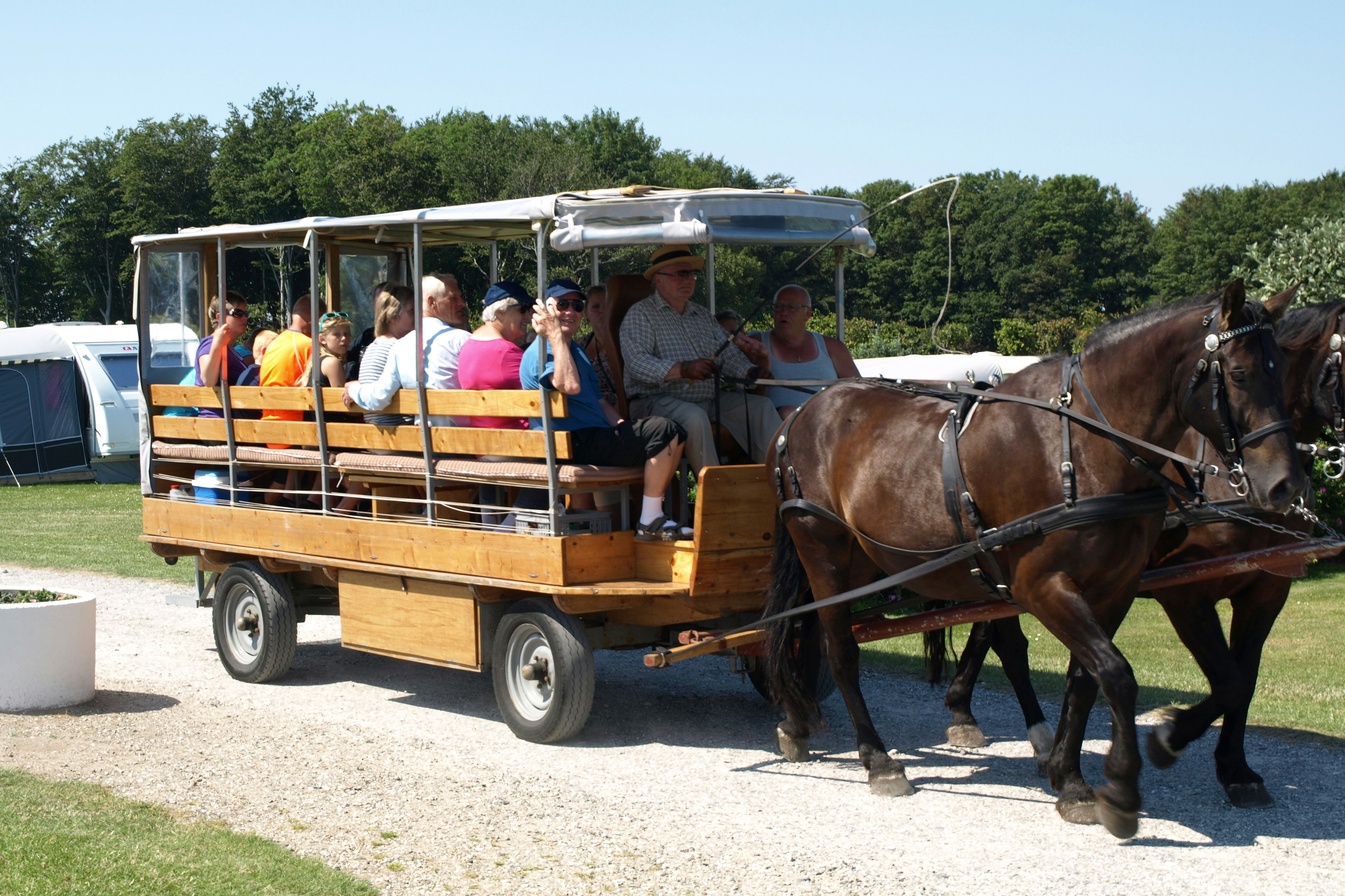 Fornæs Camping - Einmal die Woche im Juli werden Fahrten mit der Pferdekutsche angeboten