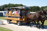 Fornæs Camping - Einmal die Woche im Juli werden Fahrten mit der Pferdekutsche angeboten