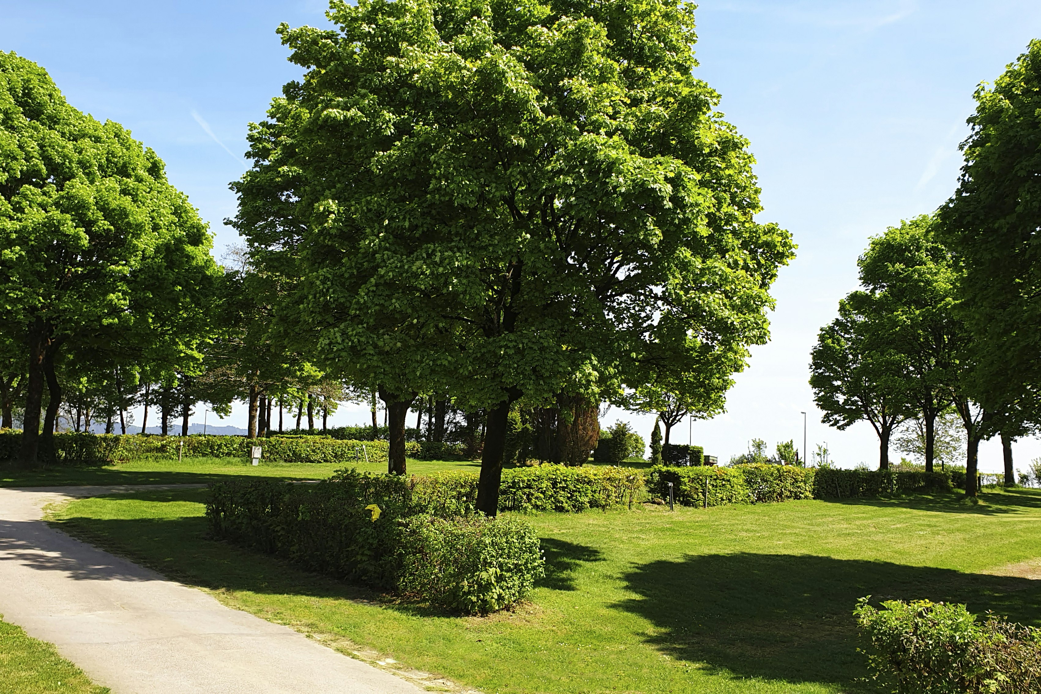 Franz Josef´s Landresort - Blick auf die Standplätze umgeben von Bäumen