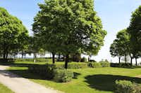 Franz Josef´s Landresort - Blick auf die Standplätze umgeben von Bäumen