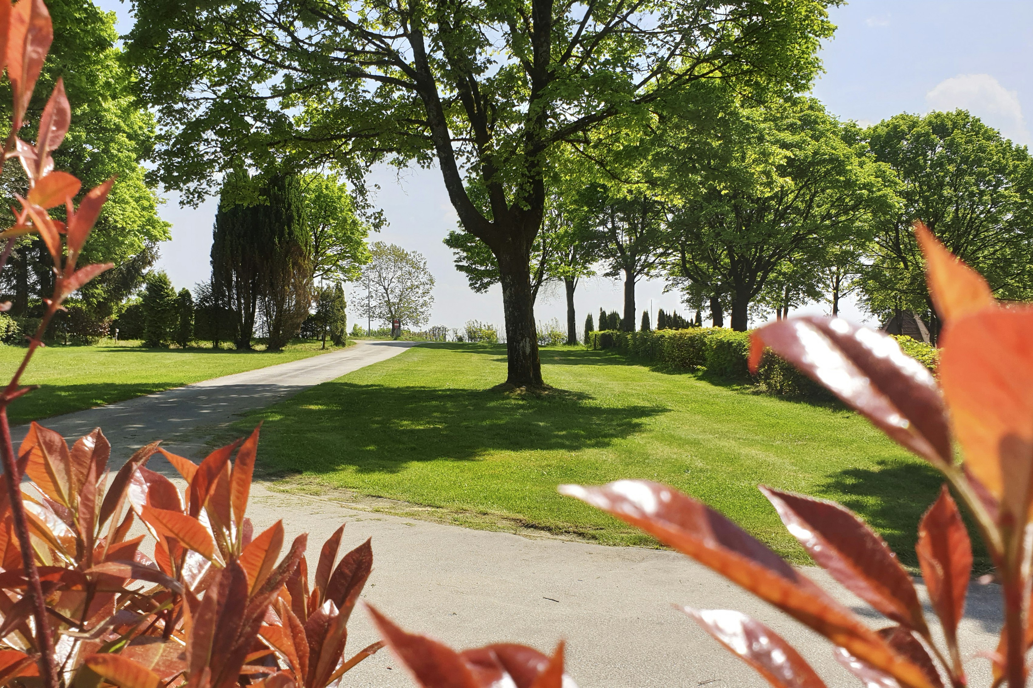 Franz Josef´s Landresort - Standplätze auf dem Campingplatz