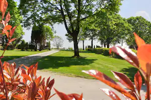 Grüner Campingplatz mit Rasenweg, Bäumen und Hecken; im Vordergrund orangefarbene Blätter und Blüten.