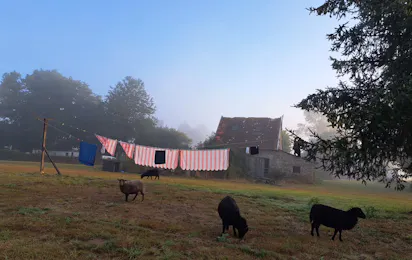 Fred's Place Camping Le Grand Chemin