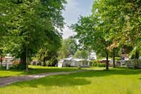 Freizeit- und Campingpark Geesthof - Blick auf die Stellplätze auf der Wiese zwischen den Bäumen