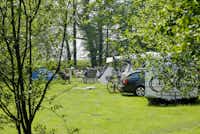 Freizeit- und Campingpark Geesthof - Stell- und Zeltplätze auf der Wiese