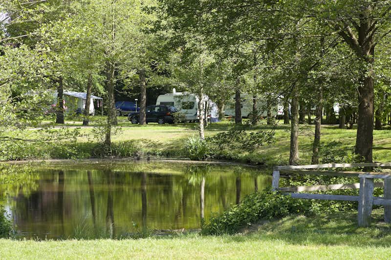 Freizeit- und Campingpark Geesthof - Teich auf dem Campingplatz