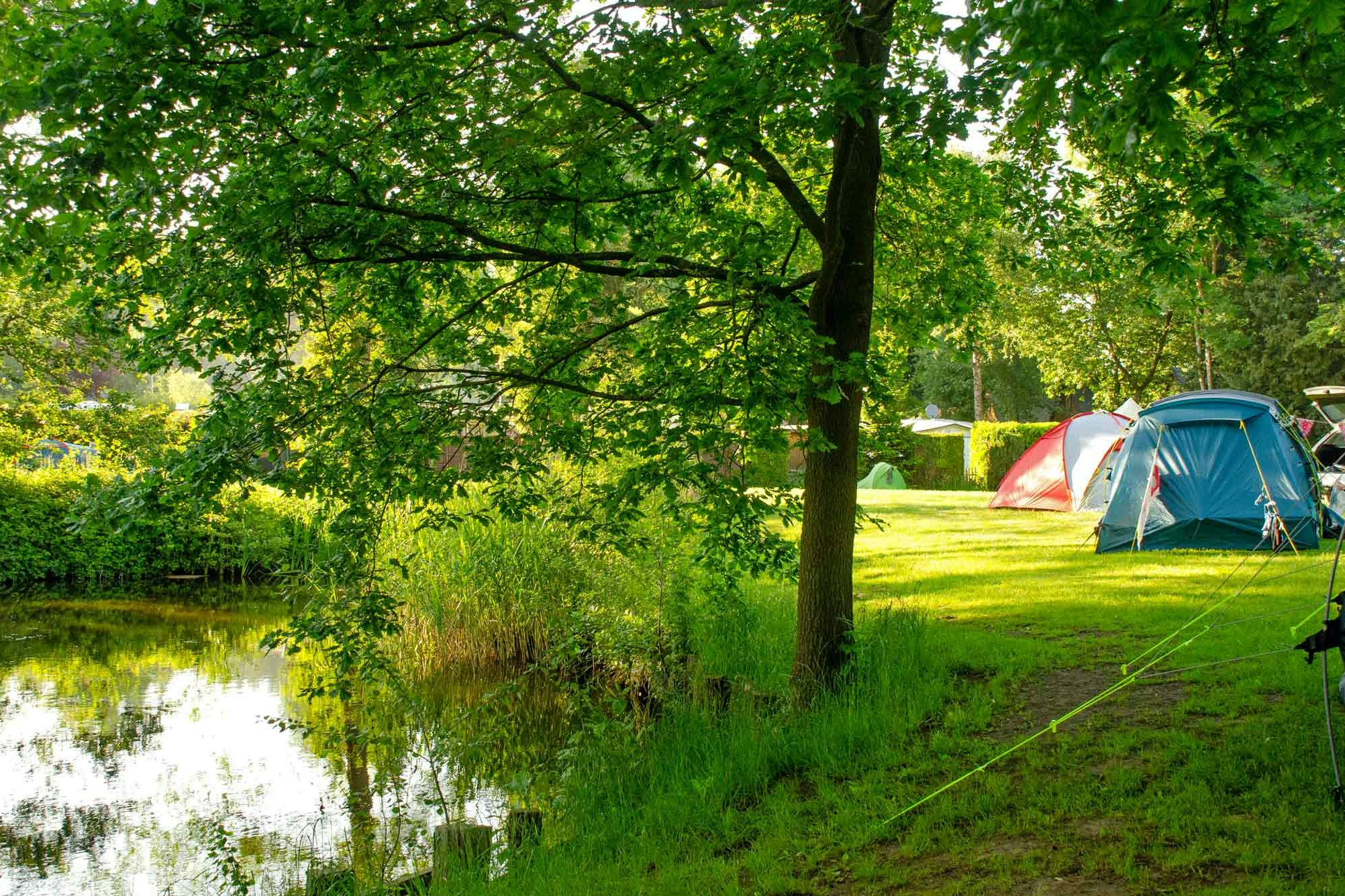 Freizeit- und Campingpark Geesthof - Zeltwiese am Ufer des Sees