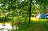 Freizeit- und Campingpark Geesthof - Zeltwiese am Ufer des Sees