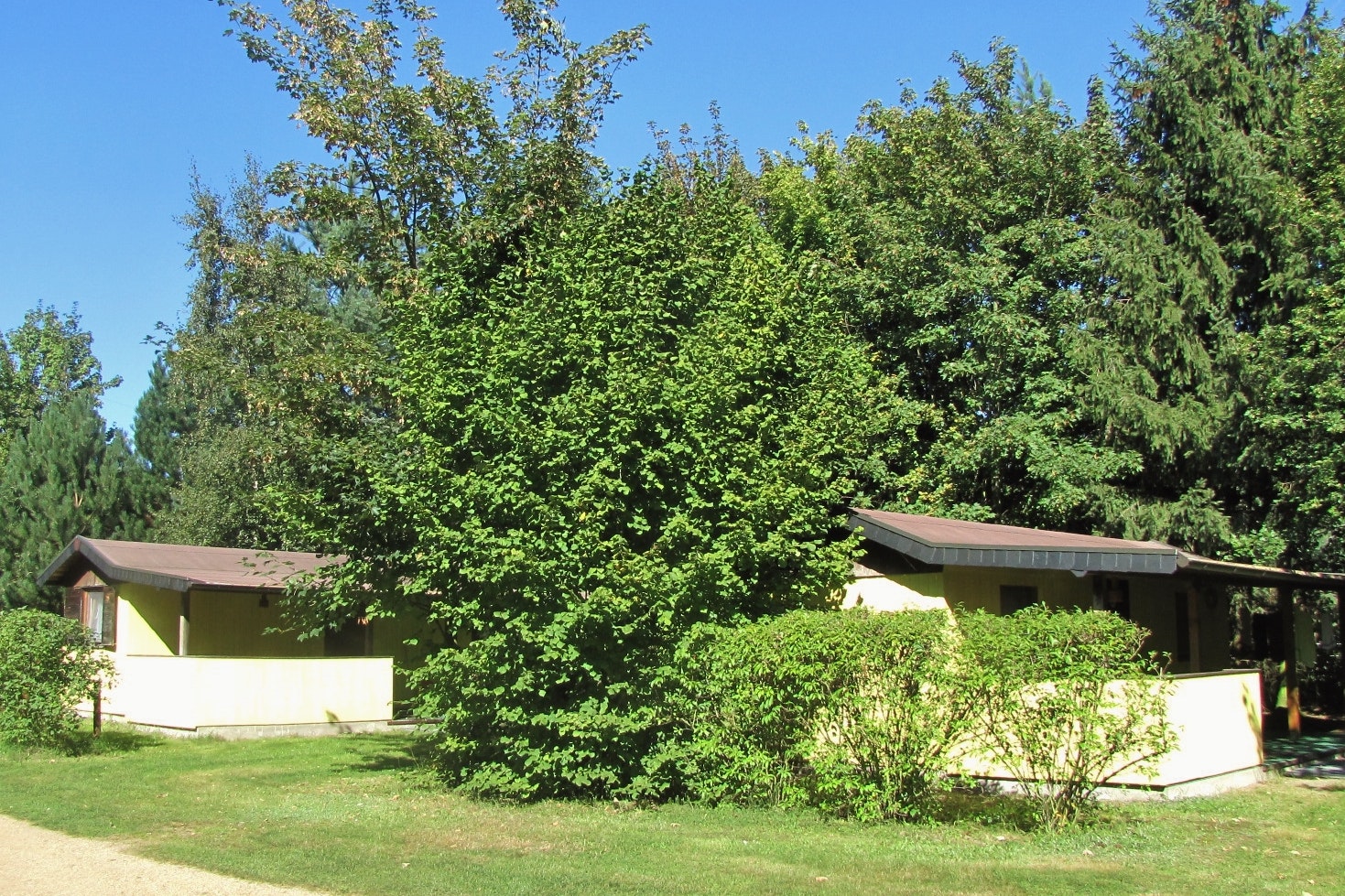 Freizeit- und Campingpark Thräna