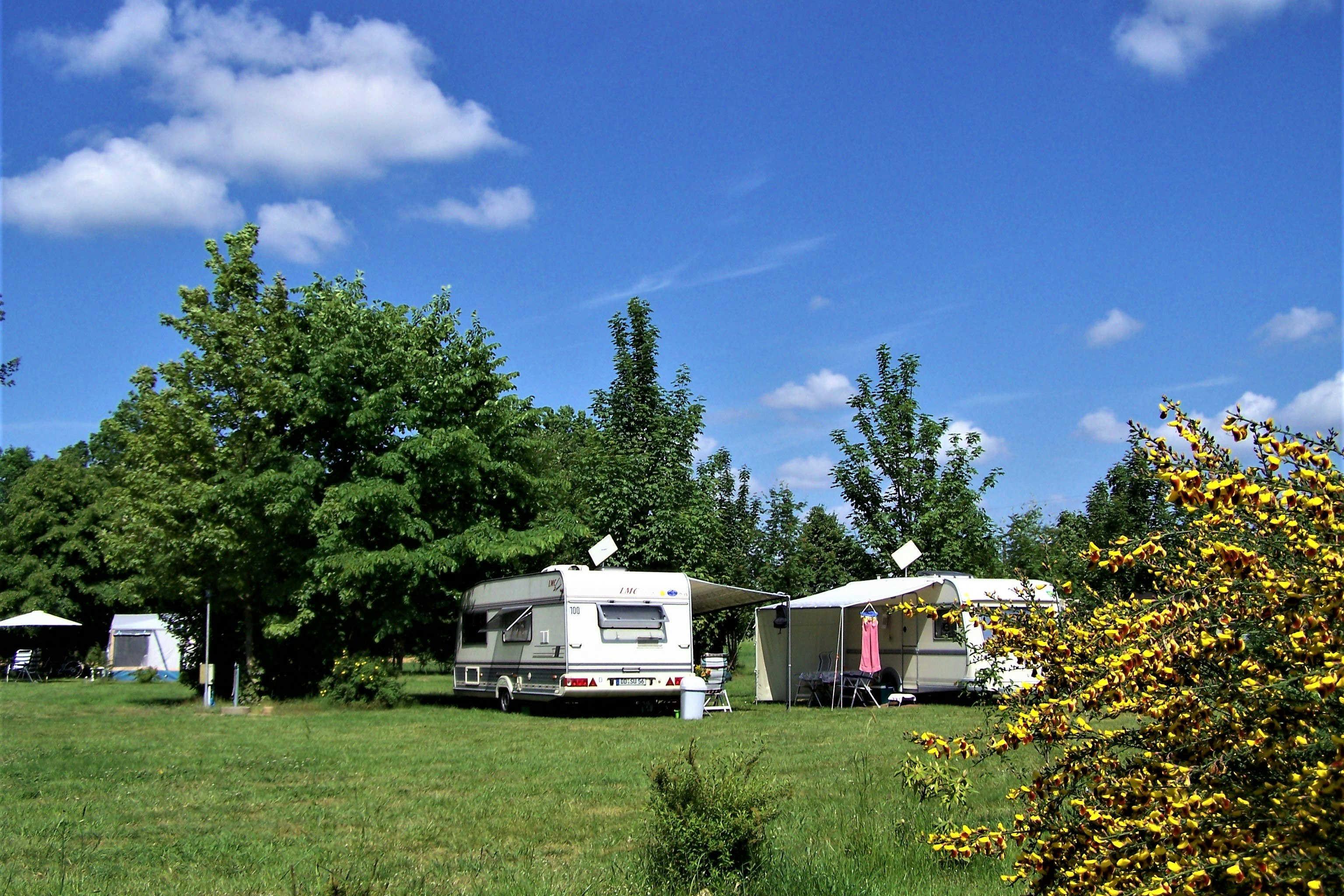 Freizeit- und Campingpark Thräna - Standplatzwiese auf dem Campingplatz