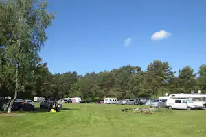 Freizeithof Imbrock - Wohnwagen- und Zeltstellplatz vom Campingplatz auf einer Wiese