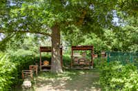 Freizeitpark Klaukenhof - Grünfläche des Campingplatzes mit Bienenkästen