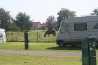 Friesland Camping - Wohnmobil auf einem Stellplatz mit grasendem Pferd im Hintergrund