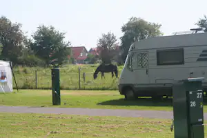 Friesland Camping - Wohnmobil auf einem Stellplatz mit grasendem Pferd im Hintergrund