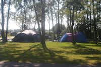 Friesland Camping - Zelte auf der Zeltwiese zwischen Bäumen