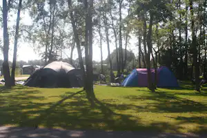 Friesland Camping - Zelte auf der Zeltwiese zwischen Bäumen