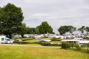 Reihe von Wohnmobilen und Campingfahrzeugen auf einem Stellplatz mit Rasen, Hecken und Bäumen im Hintergrund.