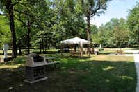 Future is Nature - Picknickplatz   im Schatten der Bäume auf dem Campingplatz