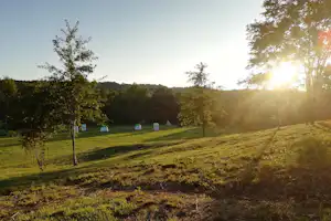 Future is Nature - Wohnmobil- und Wohnwagenstellplätze im Schatten der Bäume