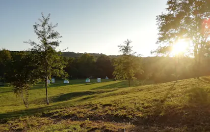 Future Is Nature Playground