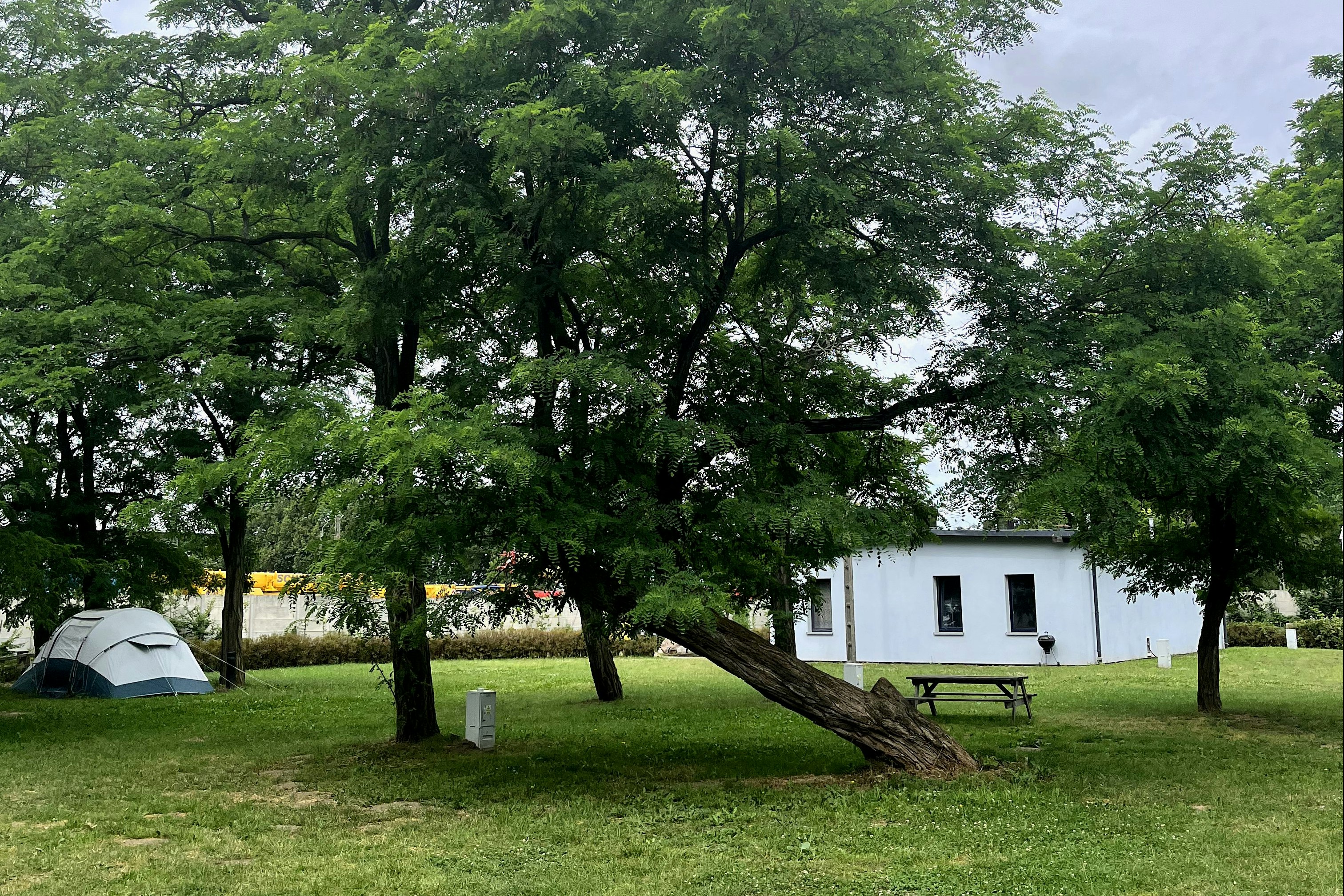 Gadabout Hostel & Camp - Blick auf die Standplätze auf der Wiese
