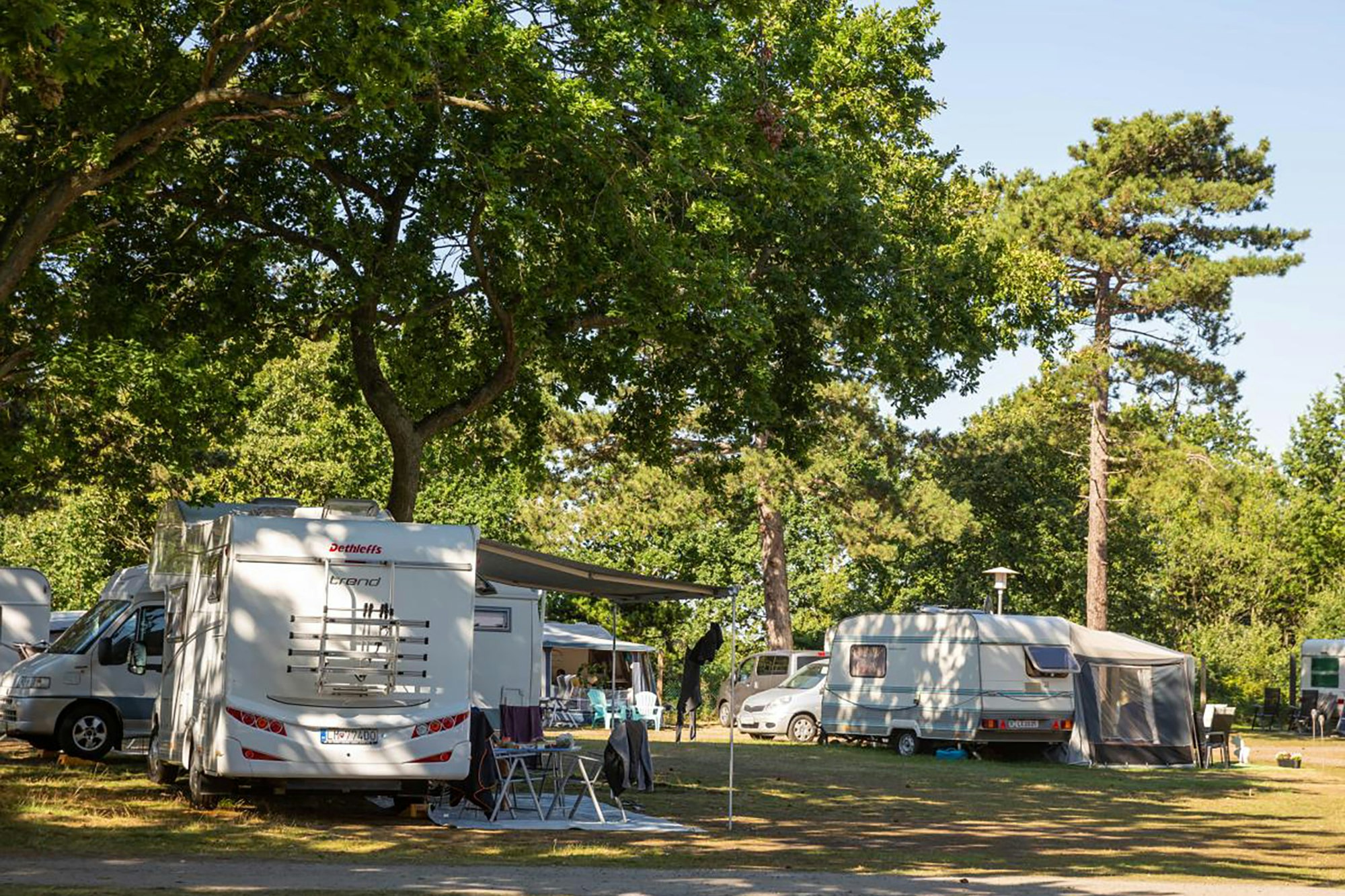 Wohnmobile und Campingbusse auf einem Stellplatz im Grünen, mit Markise, Stühlen und Tisch zwischen Bäumen.
