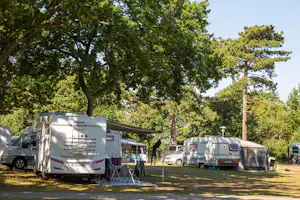 Wohnmobile und Campingbusse auf einem Stellplatz im Grünen, mit Markise, Stühlen und Tisch zwischen Bäumen.