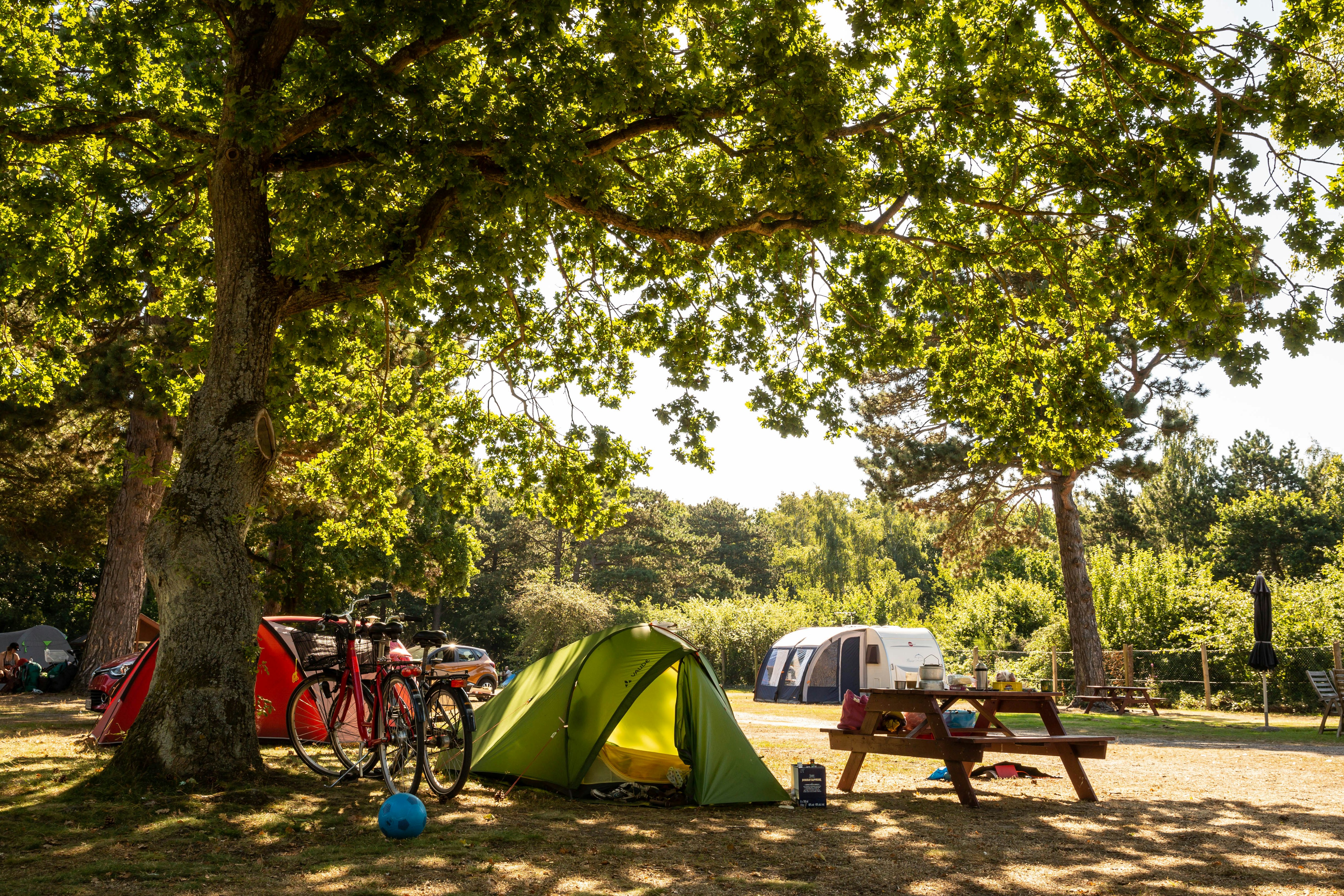Galløkken Camping - Standplätze im Grünen auf dem Campingplatz